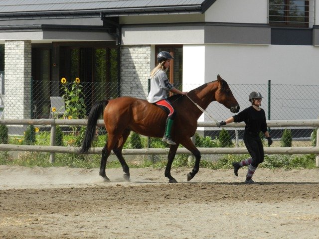 Babie Lato 2016